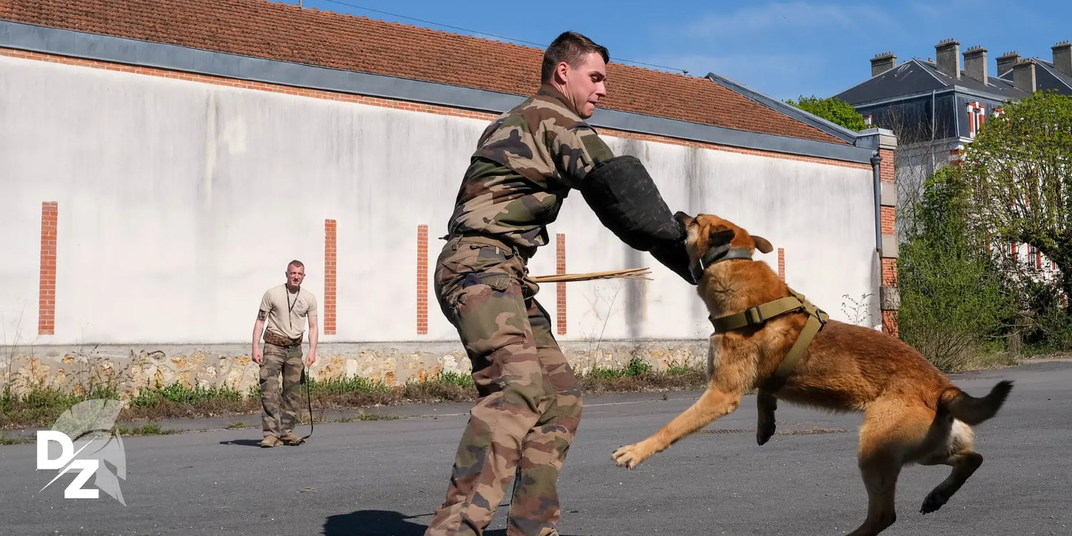 132e-RIC-former-des-chiens-pour-la-guerre-DZ-19 defense-zone.com