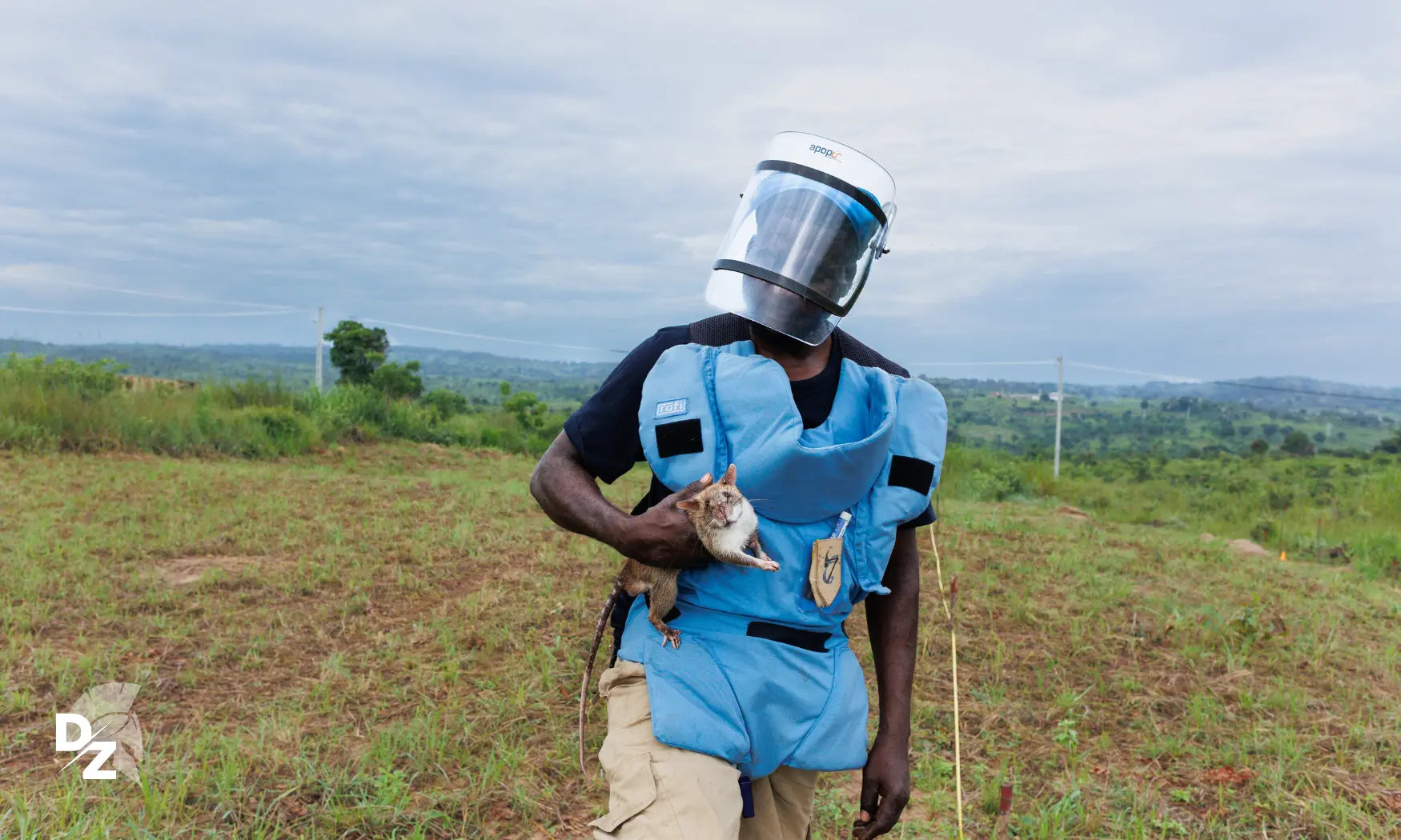 Angola : le flair des rats contre les mines defense-zone.com
