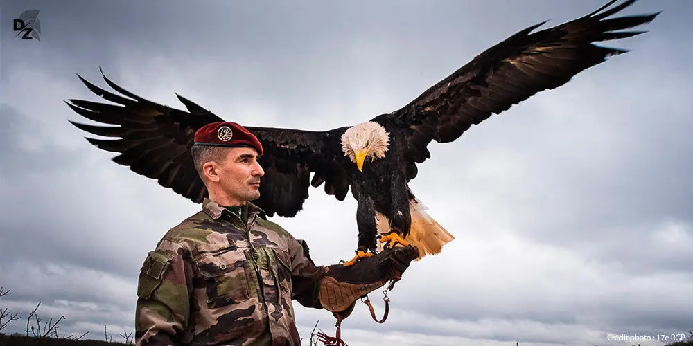 Fauconnier, 17e RGP, parachutiste, 11e BP, rapace