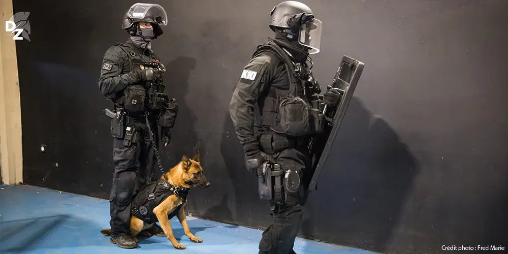 K9, RAID, Police nationale, équipe cynotechnique