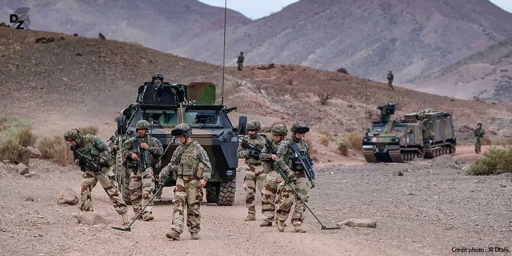 Génie, armée de Terre, 1er REG, Sjibouti, déminage