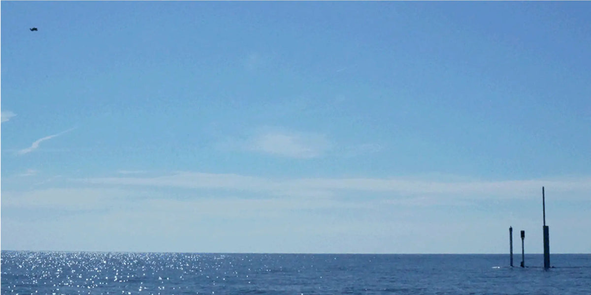 L-AID-a-déployé-un-drone-conçu-par-Diodon-et-Naval-Group-depuis-un-sous-marin-immergé defense-zone.com
