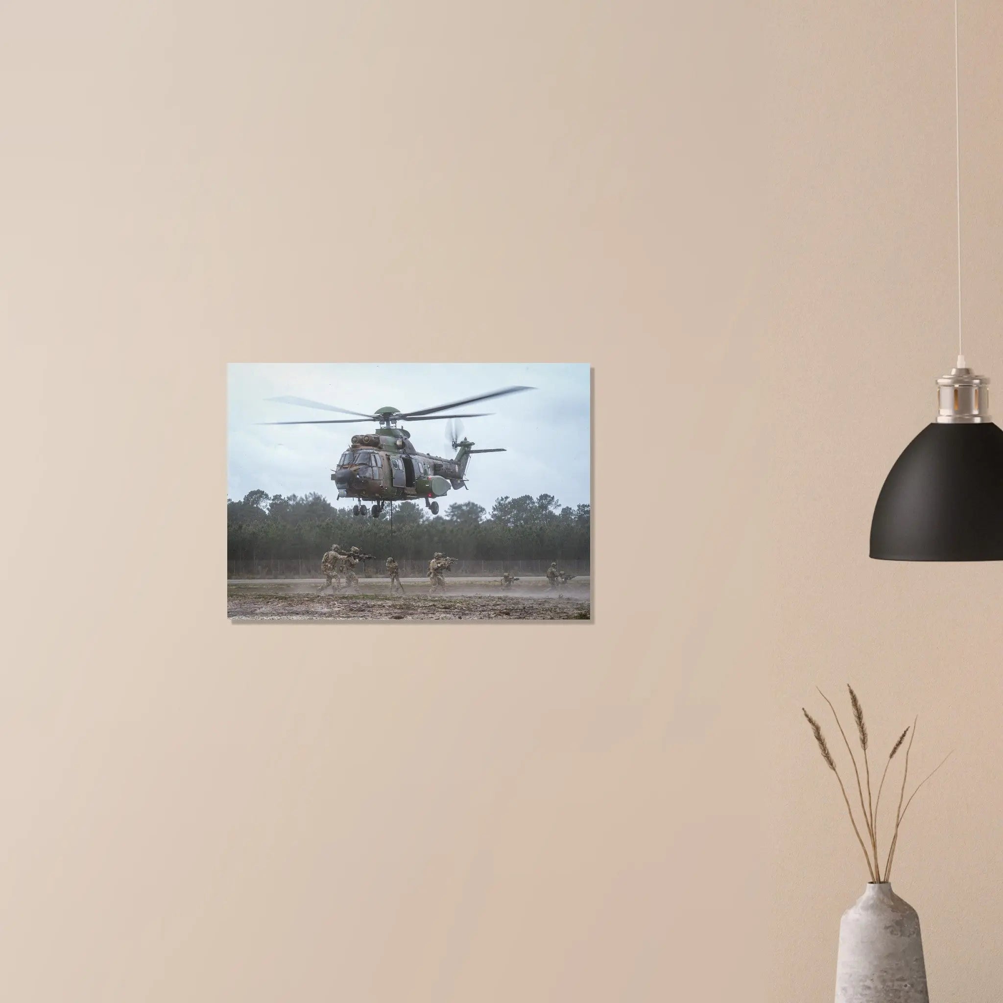 Poster Photo - Démonstrations des forces spéciales au Sofins defense-zone.com
