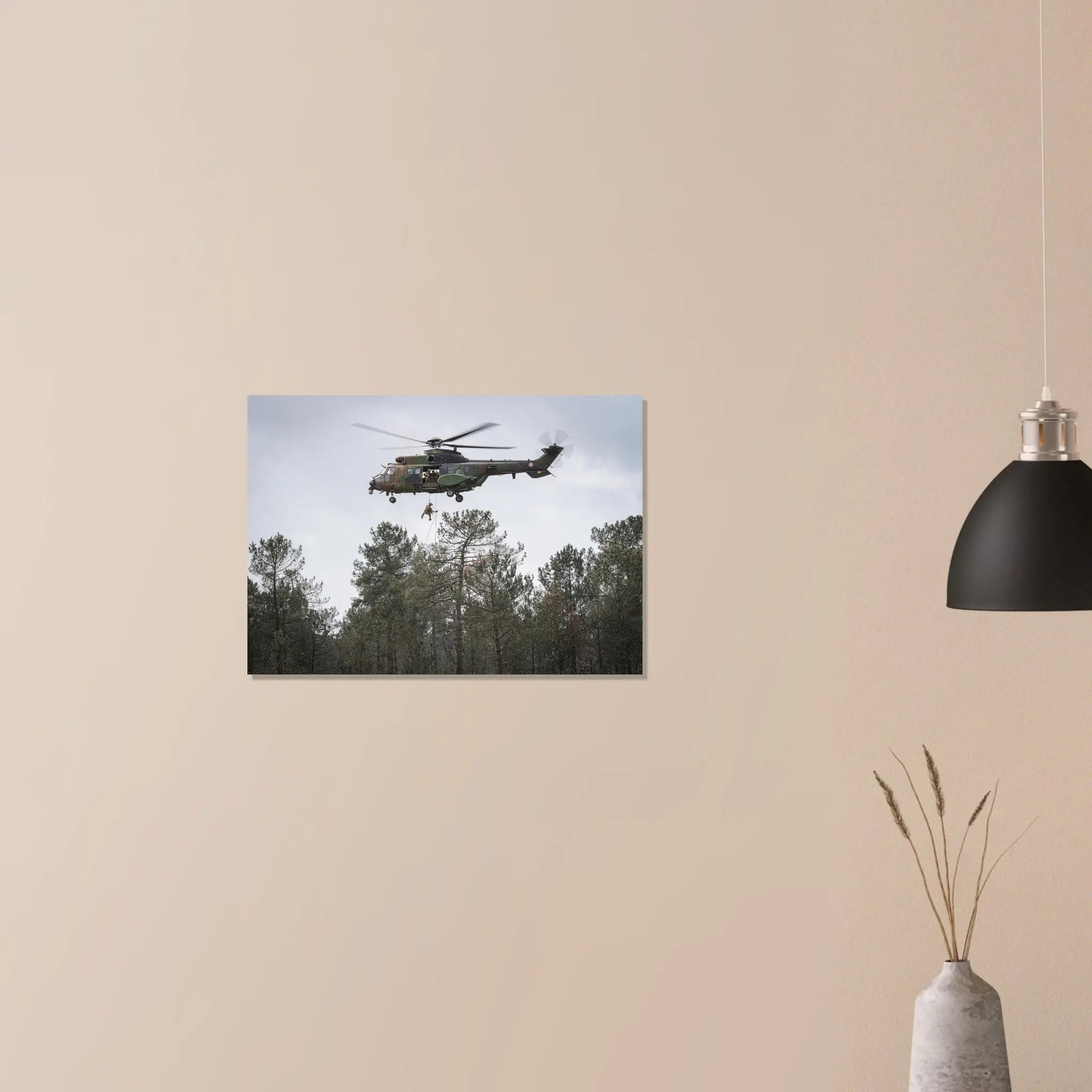 Poster Photo - Rappel depuis un hélicoptère pour les forces spéciales defense-zone.com