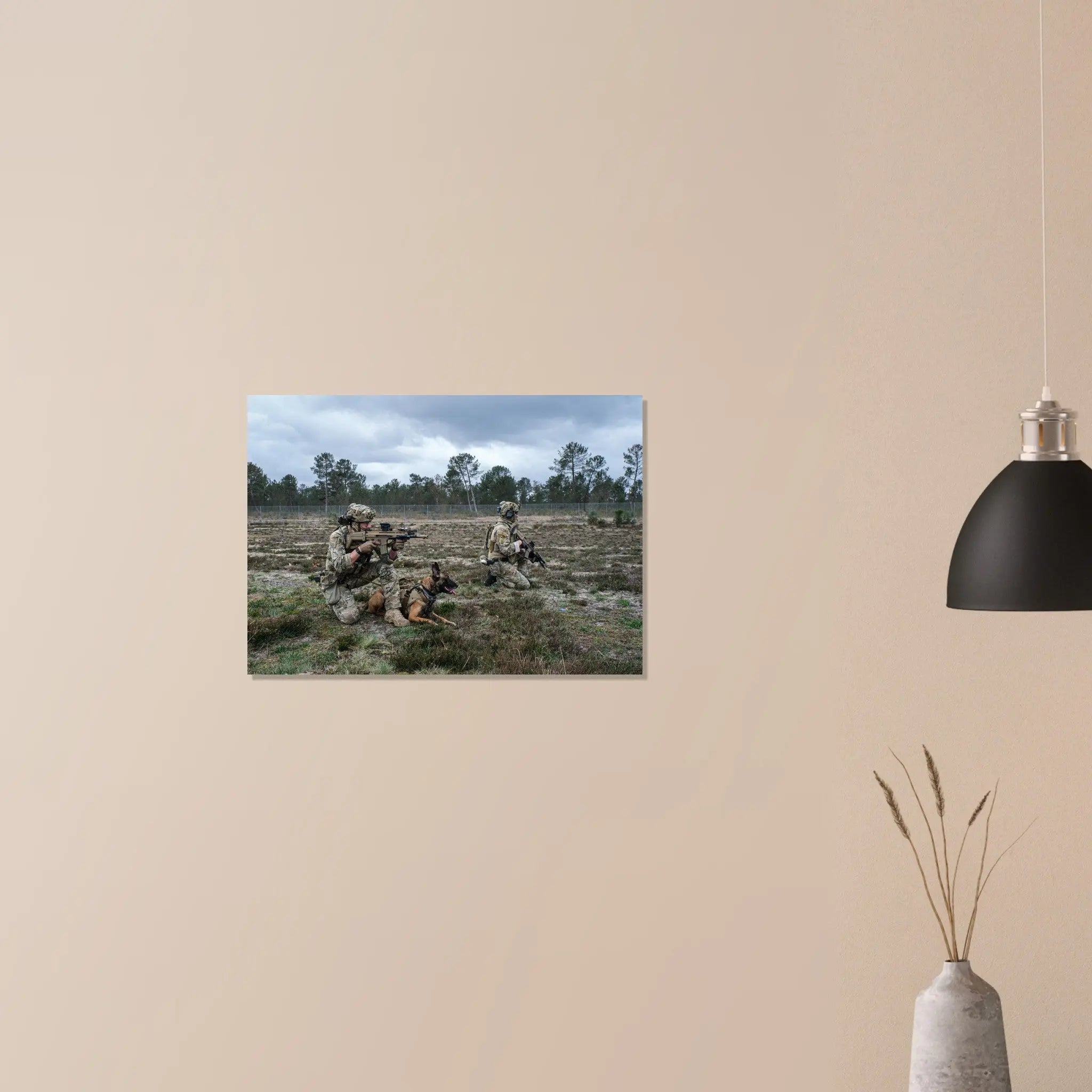 Poster Photo - Les chiens des forces spéciales au Sofins defense-zone.com