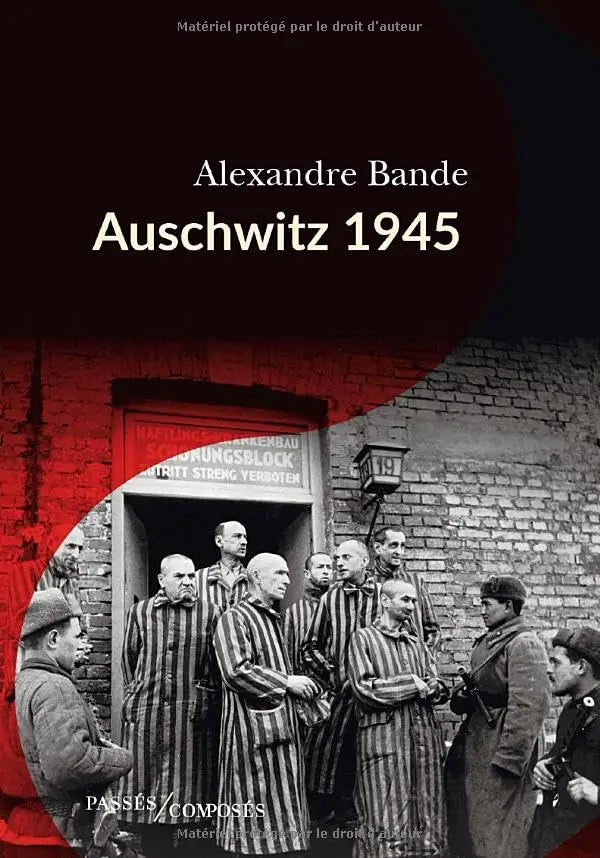 Auschwitz 1945 (Alexandre Bande) defense-zone.com