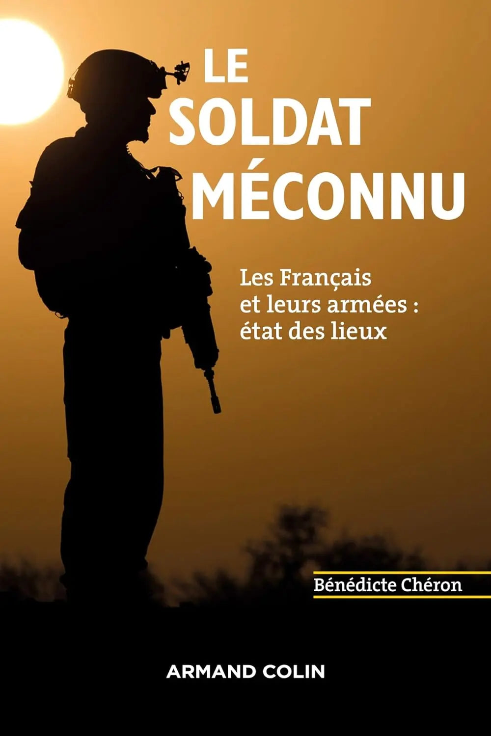 Le soldat méconnu (Bénédicte Cheron) defense-zone.com
