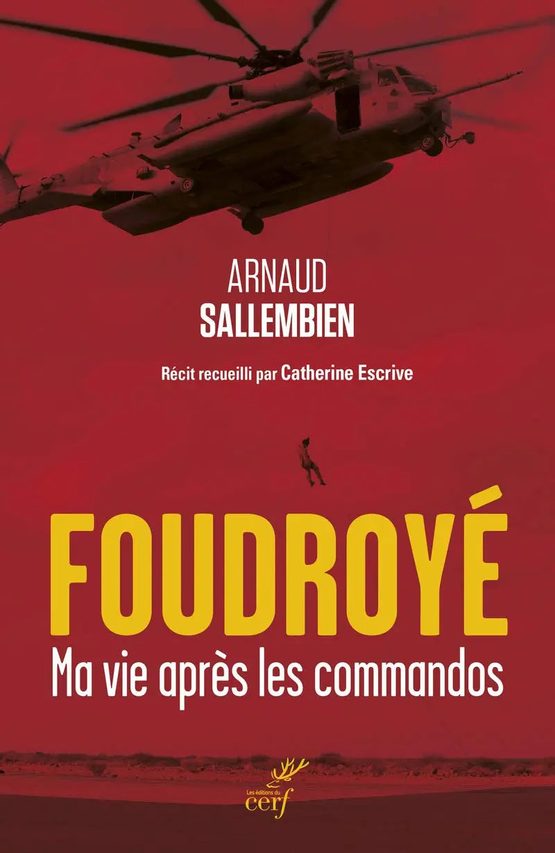 Foudroyé Ma vie après les commandos (SALLEMBIEN ARNAUD) defense-zone.com