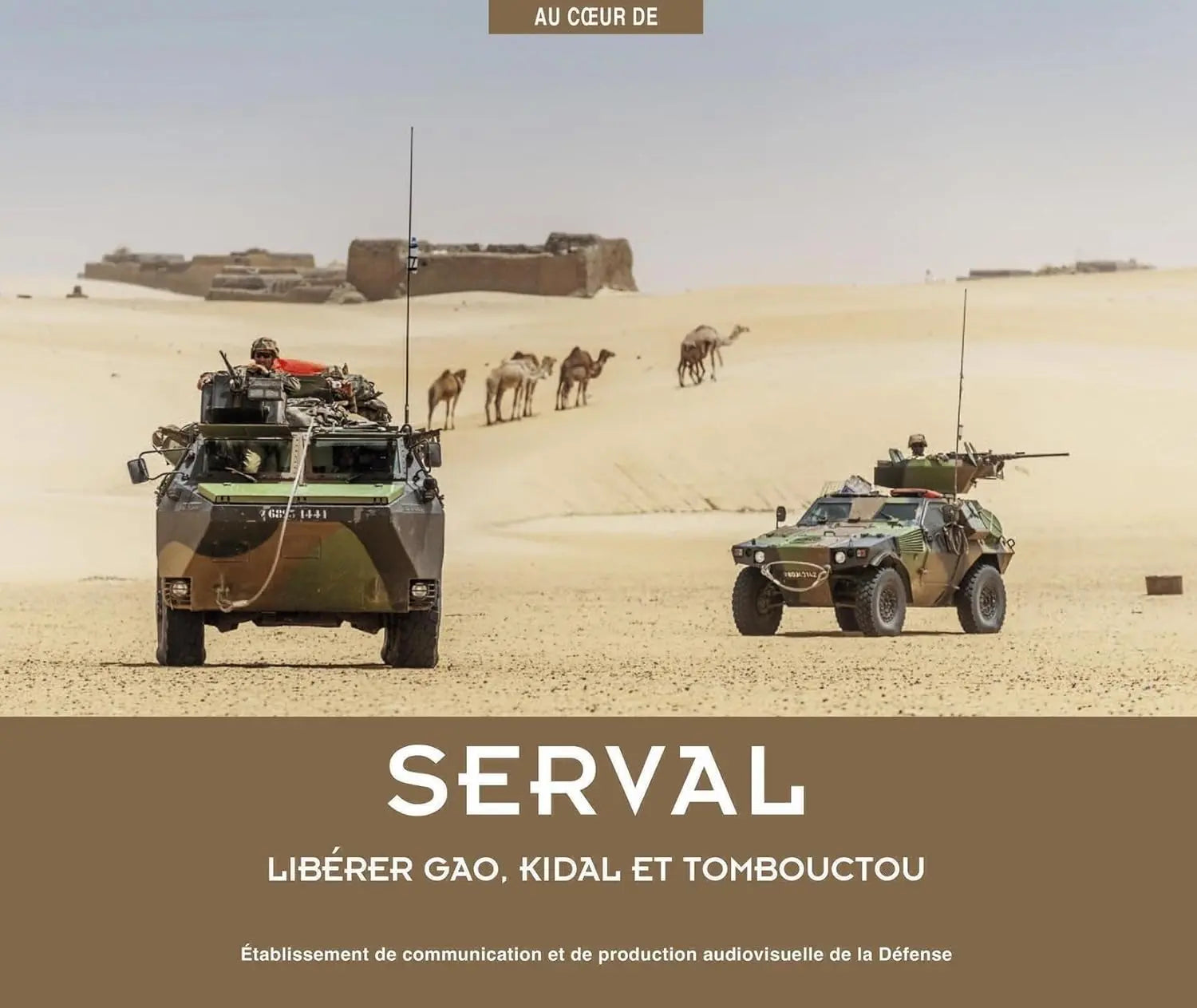 Serval Libérer Gao, Kidal et Tombouctou (Philippe Chapleau) Prix de vente defense-zone.com
