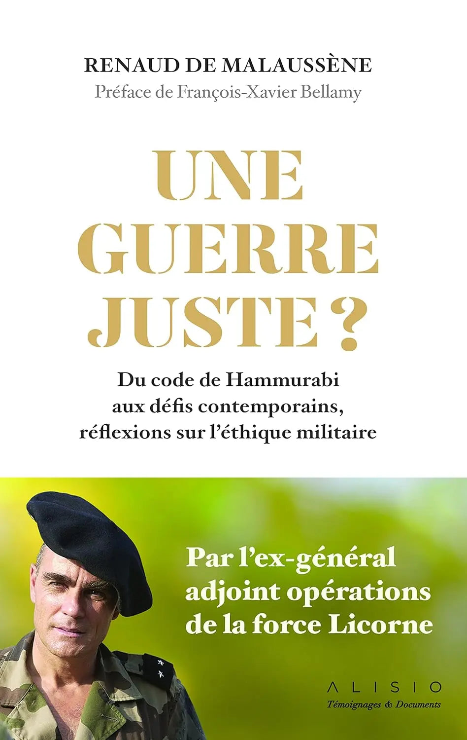 Une guerre juste ? (Renaud de Malaussène) defense-zone.com