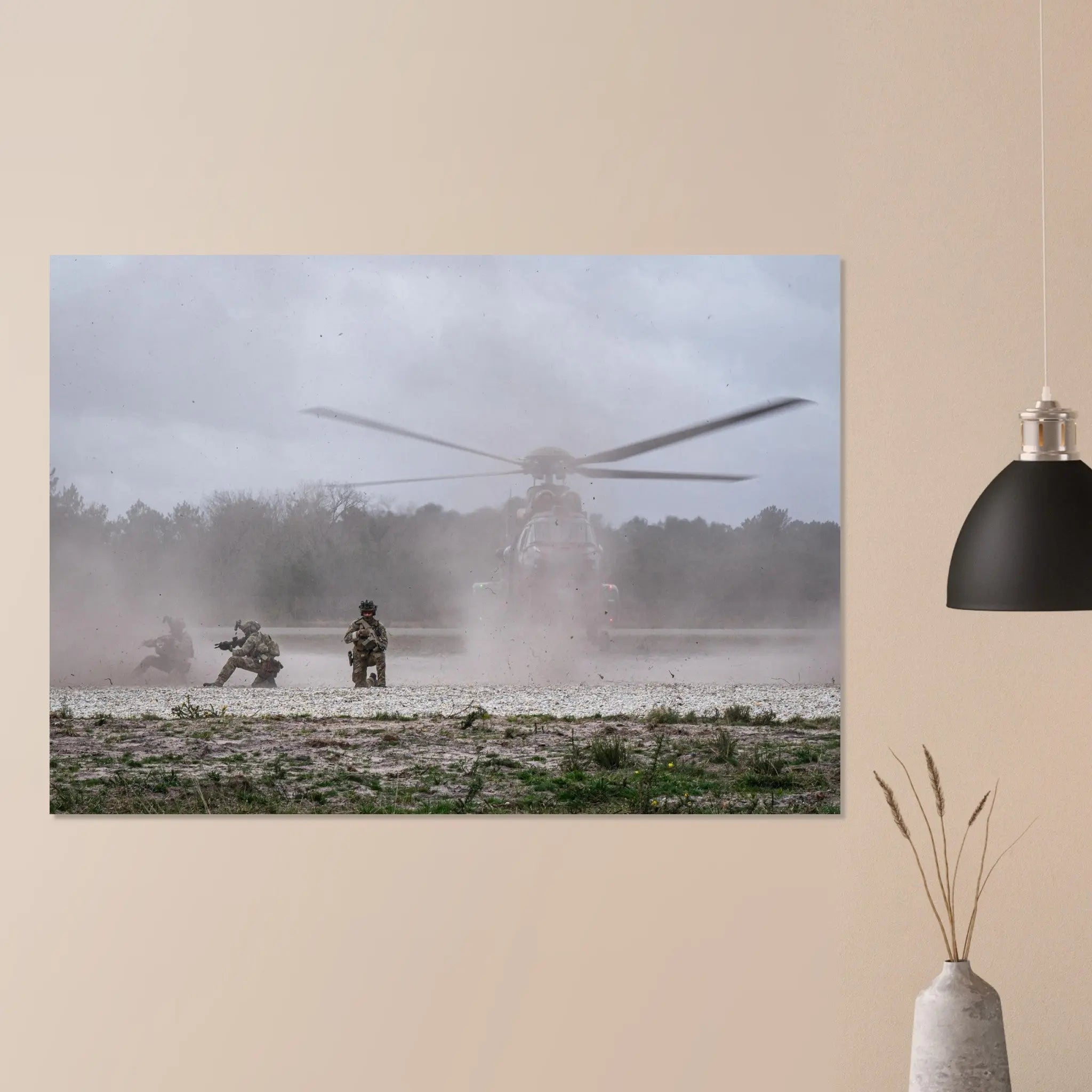 Poster Photo - Démonstration de forces spéciales (commando marine) defense-zone.com