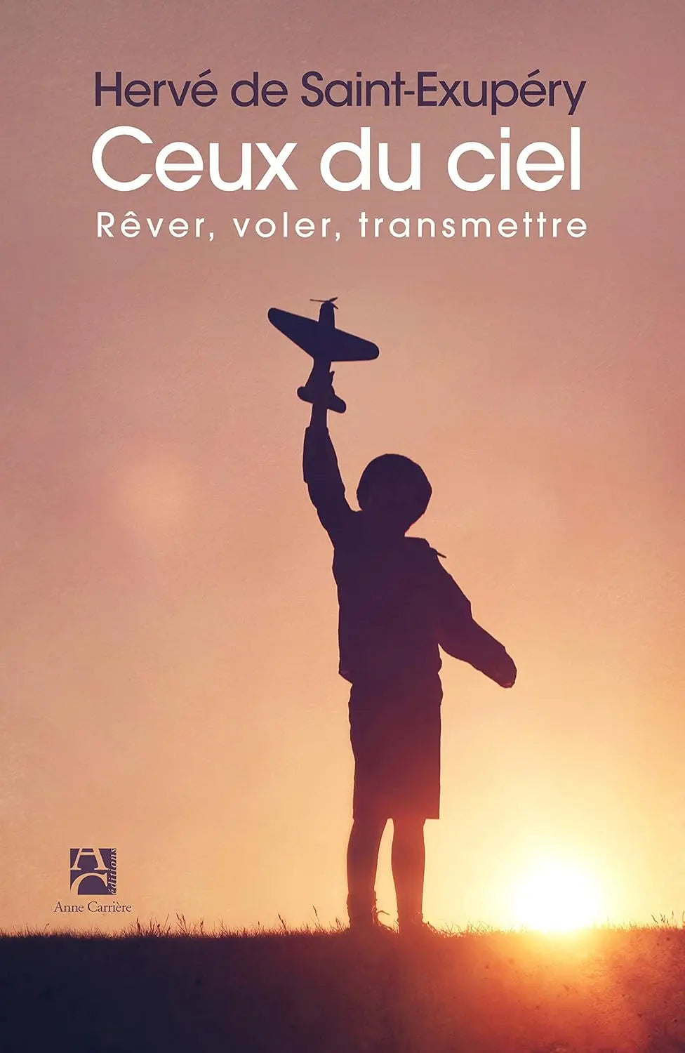 Ceux du ciel Rêver, voler, transmettre (Hervé de Saint-Exupéry) defense-zone.com