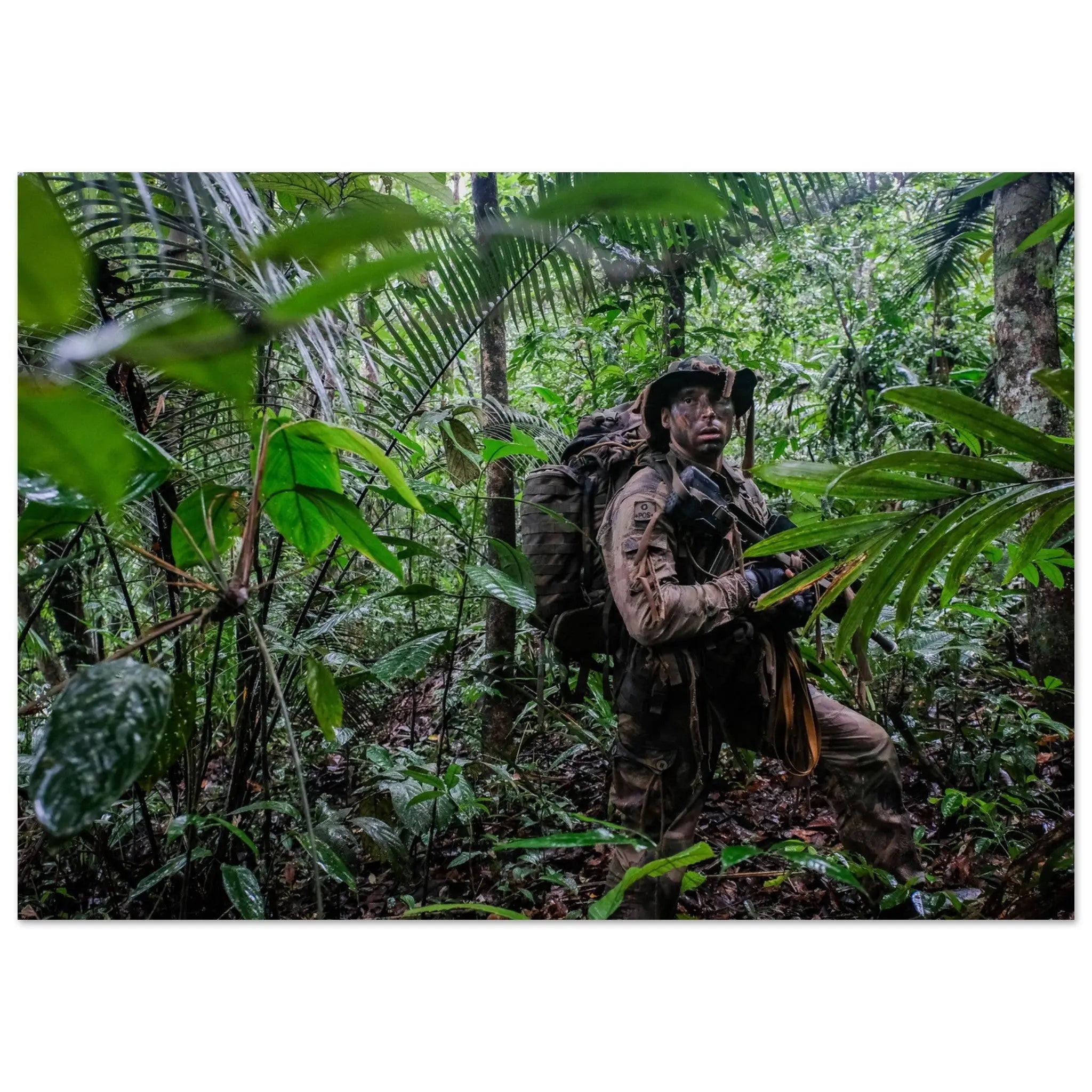 Poster Photo - Patrouille dans la jungle guyanaise pour la Légion étrangère defense-zone.com