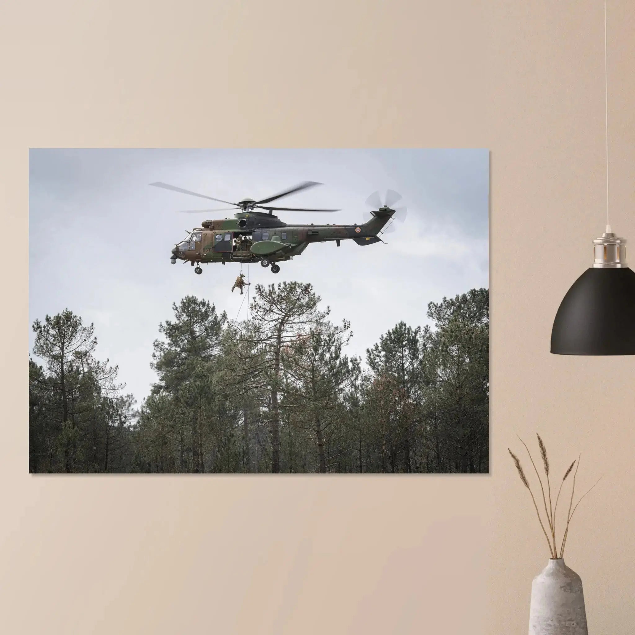 Poster Photo - rappel des forces spéciales depuis un hélicoptère defense-zone.com