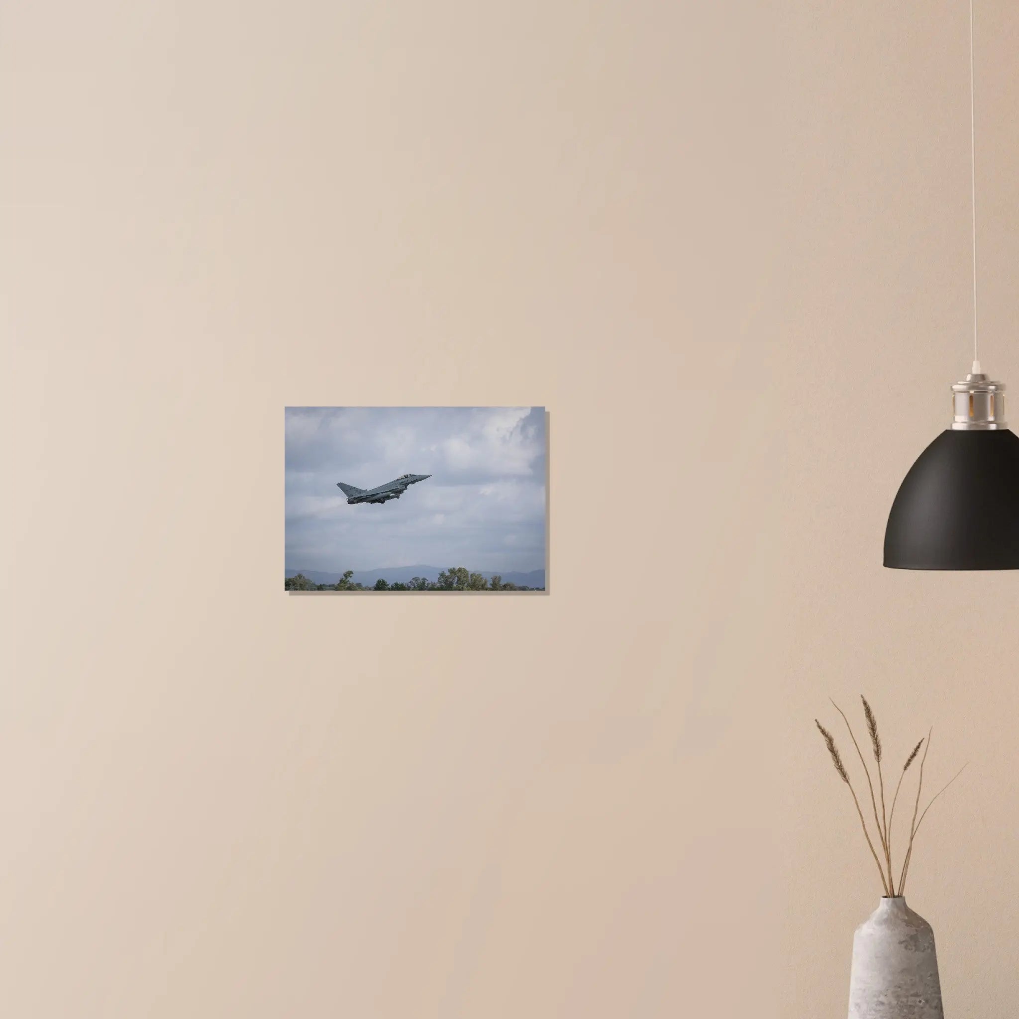 Poster Photo - Rafale Dassault de l'armée de l'air defense-zone.com
