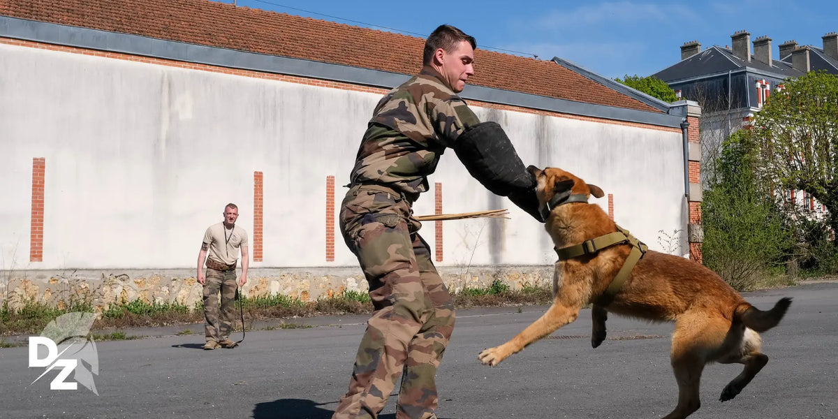 132e-RIC-former-des-chiens-pour-la-guerre-DZ-19 defense-zone.com