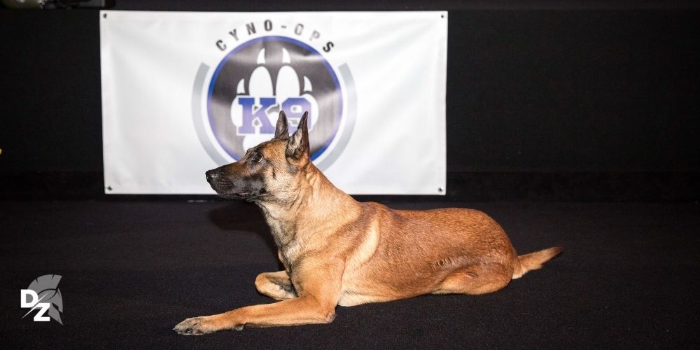 CYNO-OPS, le salon des maîtres-chiens unique en Europe - defense-zone.com