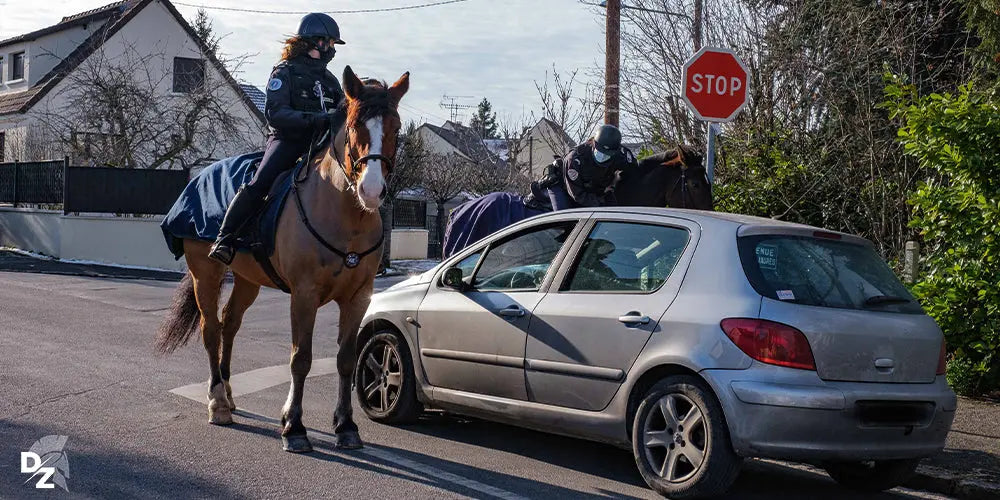 La brigade équestre de l'Essonne defense-zone.com