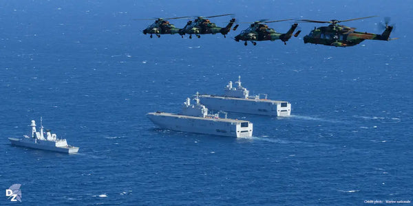 Navires militaires lors de l'International Fleet Review 2026 à Visakhapatnam
