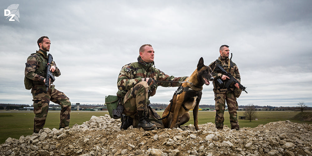 Maitre chien, armée de l'Air et de l'Espace, cynotechnique