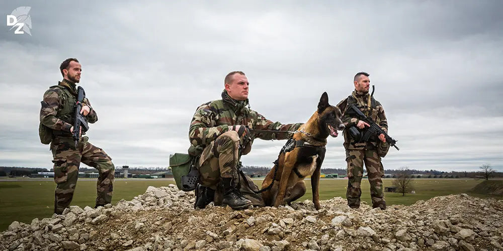 Comment devenir maitre chien dans l'armée de l'Air et de l'Espace defense-zone.com