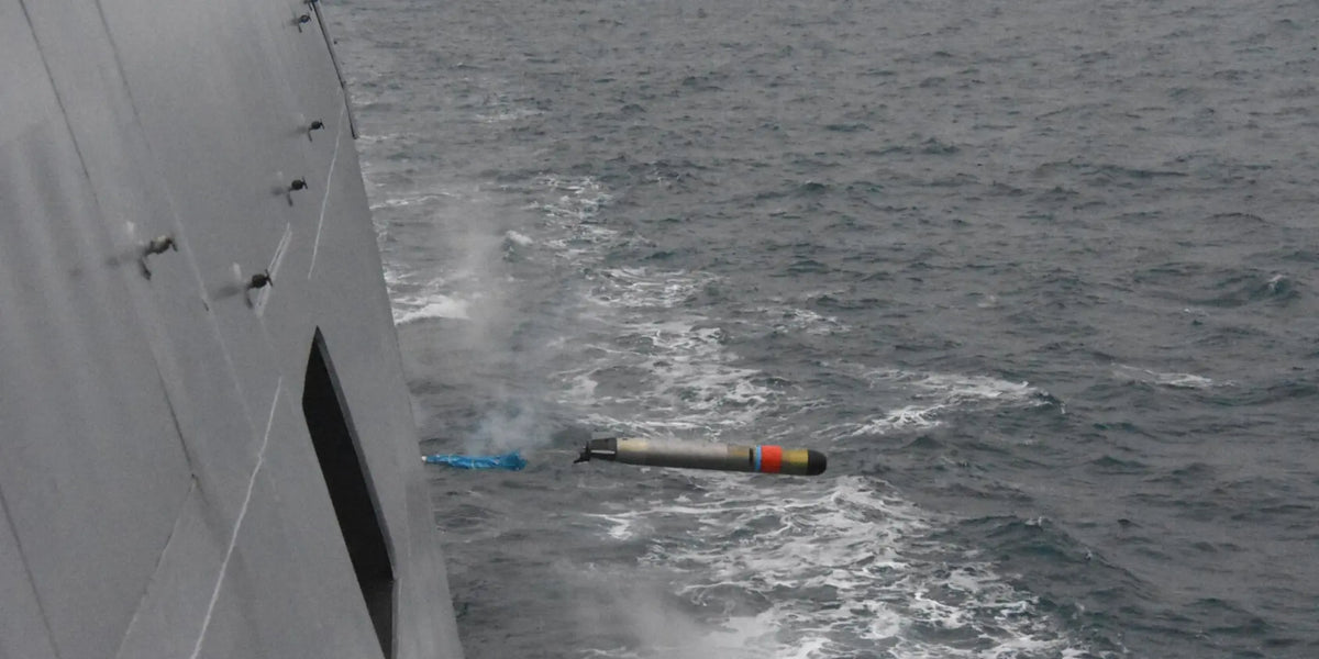Naval-Group-va-fournir-des-leurres-anti-torpilles-Canto-et-des-torpilles-MU90-à-la-marine-des-Émirats-arabes-unis defense-zone.com