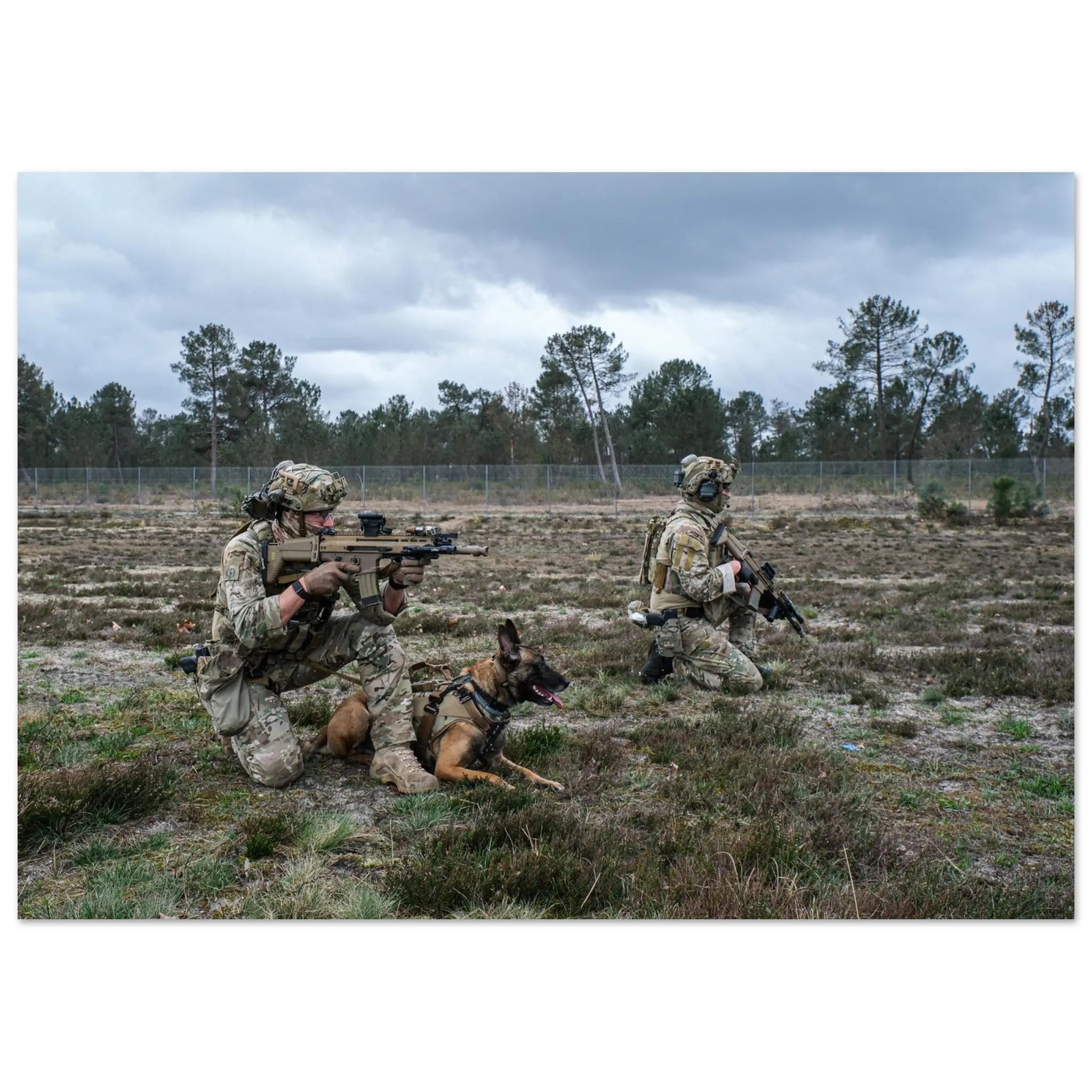 Poster Photo - équipe cynophile des forces spéciales defense-zone.com