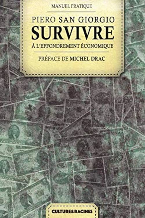 Survivre à l'effondrement économique : Guide de survie, autonomie énergétique et alimentaire, base autonome durable et stratégie de résilience et de défense (Piero San Giorgio) defense-zone.com