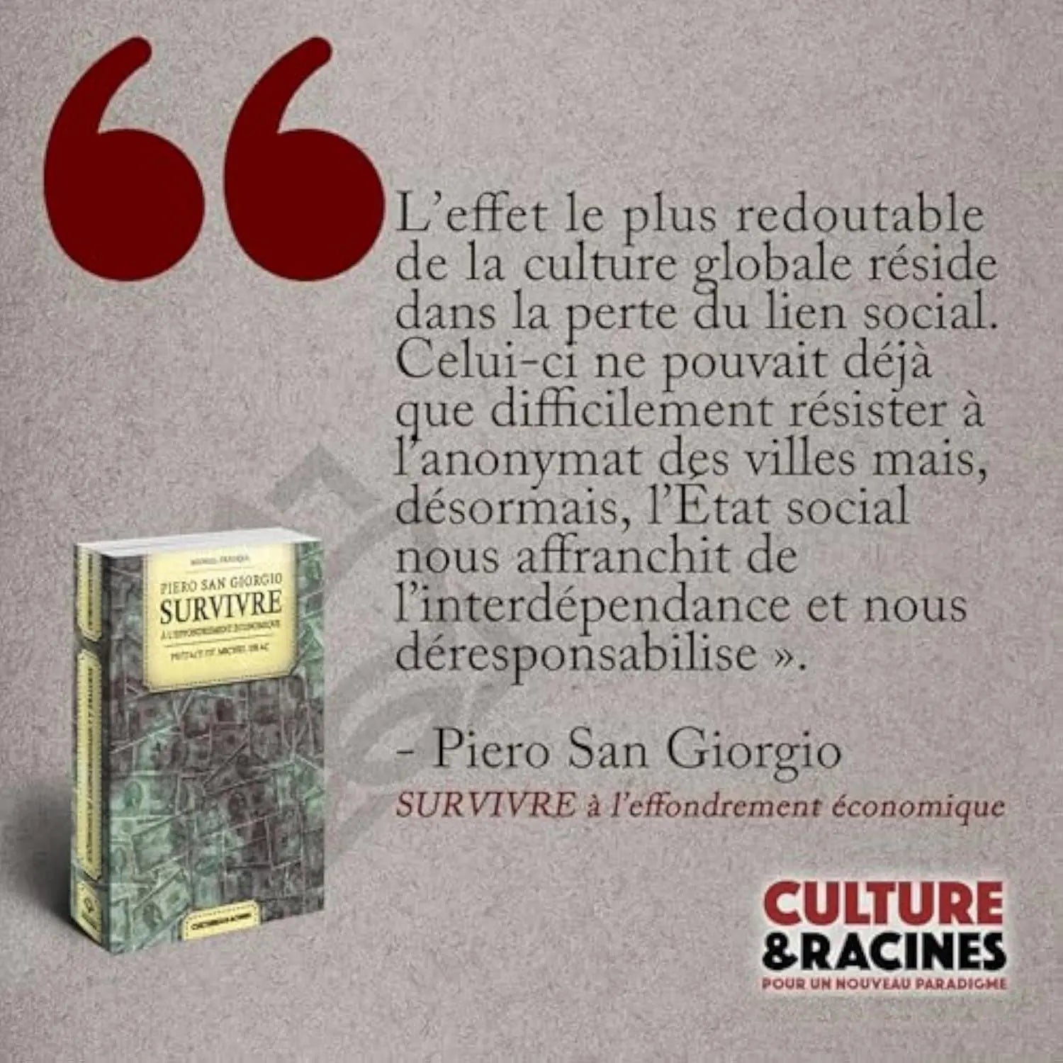 Survivre à l'effondrement économique : Guide de survie, autonomie énergétique et alimentaire, base autonome durable et stratégie de résilience et de défense (Piero San Giorgio) defense-zone.com