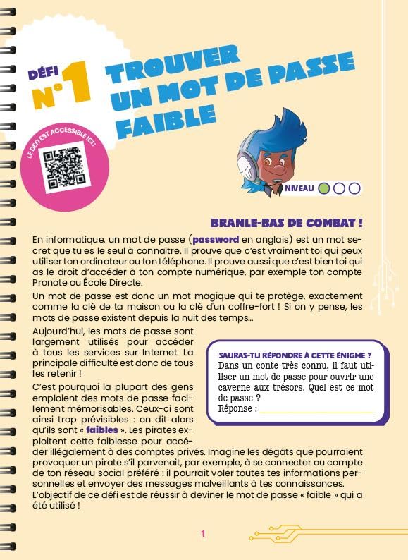 J'apprends à hacker - A partir de 9 ans: 30 défis pour découvrir la cybersécurité et déjouer le piratage (Sara Sellos) defense-zone.com