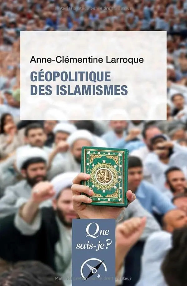 Géopolitique des islamismes (Anne-Clémentine Larroque) defense-zone.com