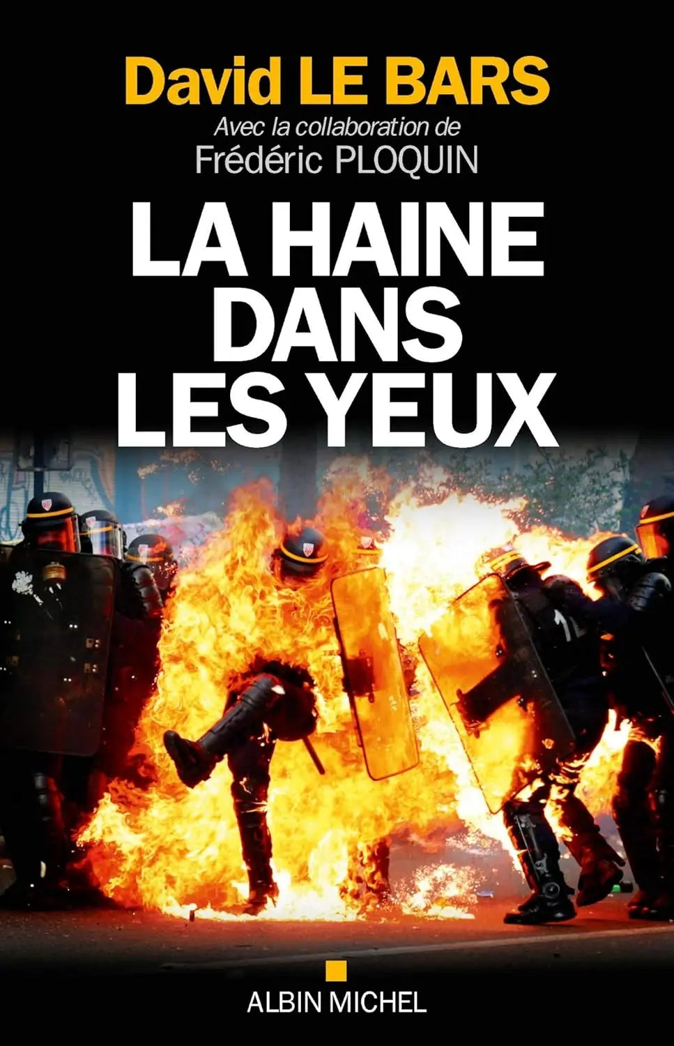 La Haine dans les yeux (David Le Bars) defense-zone.com