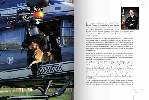 livre Les Gendarmes Du Ciel